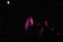 purpledave